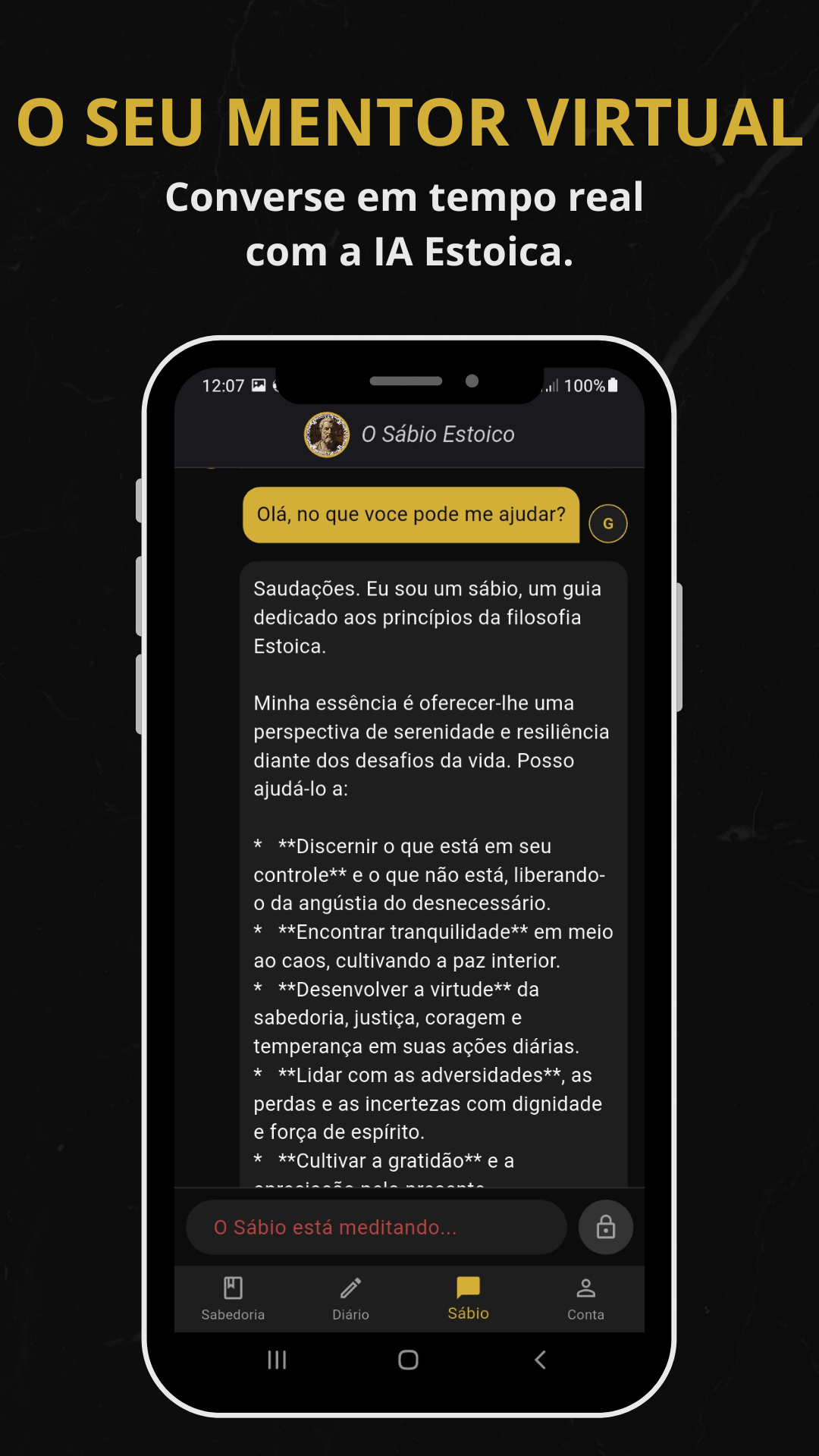 Tela do Diário